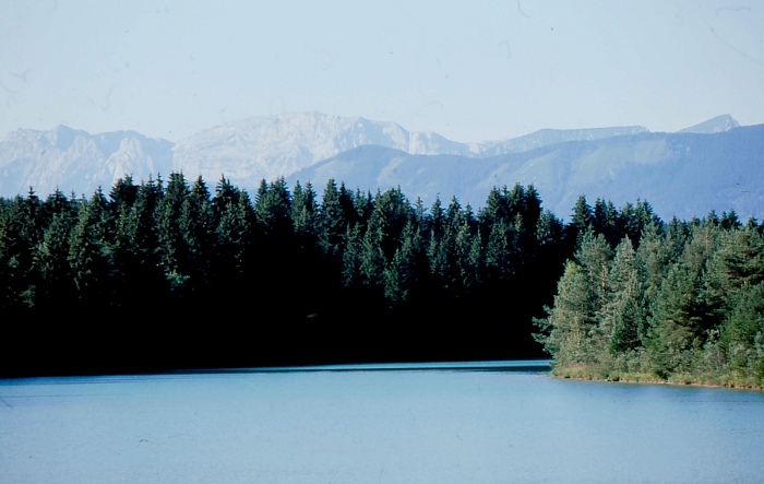 Alpenblick auf der Dampflokrunde