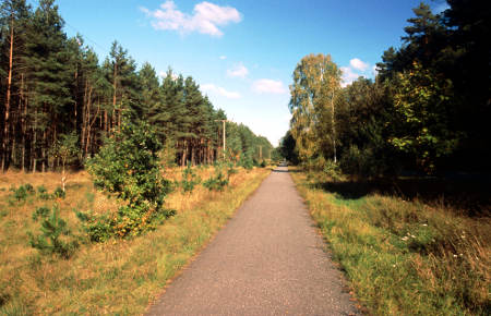 Radweg auf ehemaliger Bahntrasse in Brandenburg -Radroute Berlin-Kopenhagen