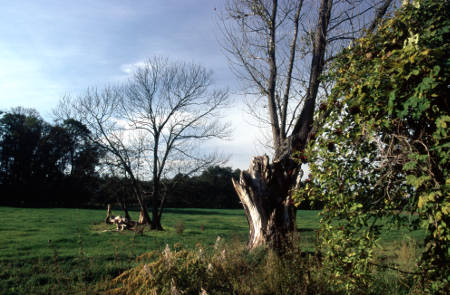 Natur pur im Havelland und auf dem Havelland-Radweg