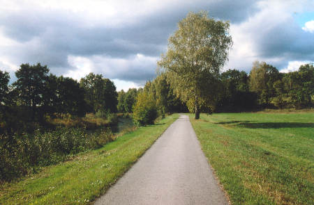 Spreewald-Rundtour: hier auf den Spreedämmen