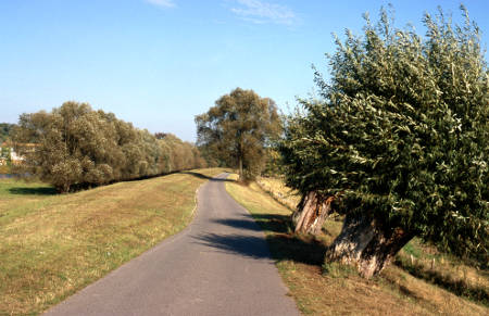 Auf bestens ausgebauten Radwegen durch den Nationalpark Unteres Odertal