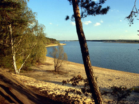 Typisch Brandenburg: Seen mit Sandstränden und Kiefernwäldern und reichlich Natur