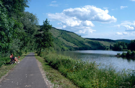 Der Main-Radweg bei Würzburg