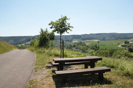 Über die Höhen der Eifel (Enz-Radweg)