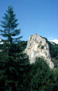 Der Donauradweg in der Donauschlucht bei Beuron