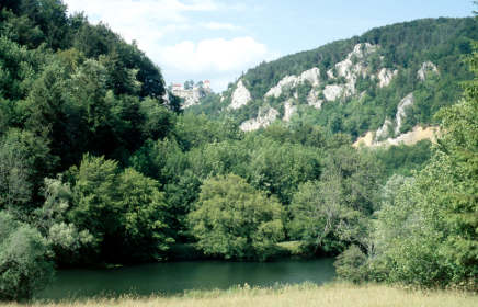 Der Donau-Radweg zwischen Friedingen und Sigmaringen