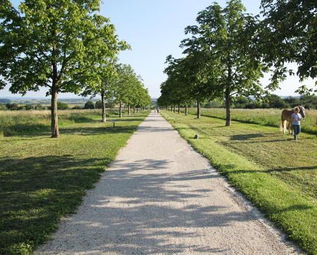 Allee im Scharnhauser Park