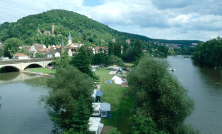 Blick auf Miltenberg