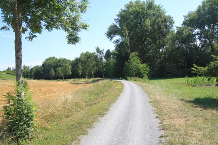 Radweg auf ehemaliger Bahntrasse durch das Bottwartal